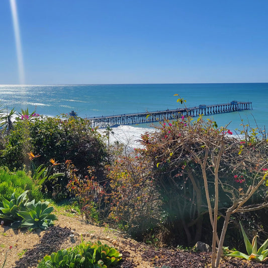 3+ Things to see and do in San Clemente, California 🌊🏄‍♀️🌸