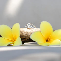 925 Sterling Silver