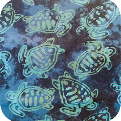 Sea Turtles